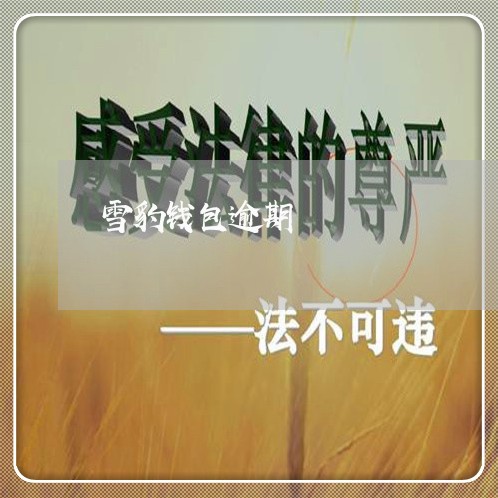 雪豹钱包逾期 雪豹钱包逾期