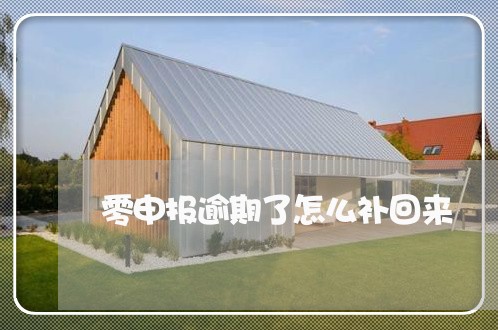 零申报逾期了怎么补回来 零申报逾期了怎么补回来