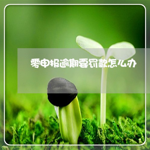 零申报逾期要罚款怎么办 零申报逾期要罚款怎么办