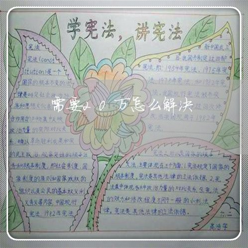 需要20万怎么解决/2023012200683 需要20万怎么解决/2023012200683