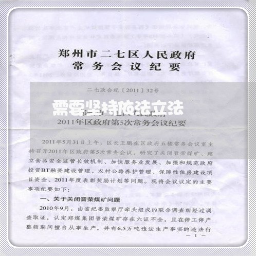 需要坚持依法立法 需要坚持依法立法