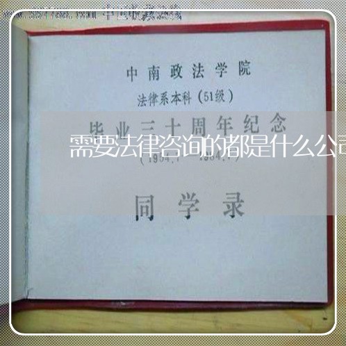 需要法律咨询的都是什么公司