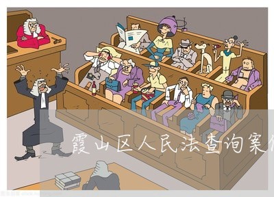 霞山区人民法查询案件