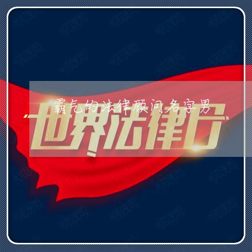 霸气的法律顾问名字男