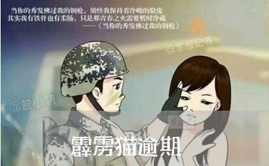 霹雳猫逾期 霹雳猫逾期