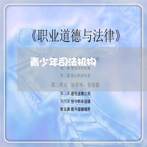青少年司法机构