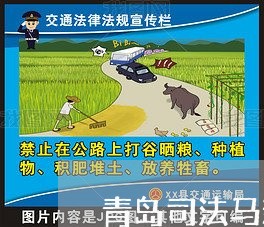 青岛司法马新河 青岛司法马新河