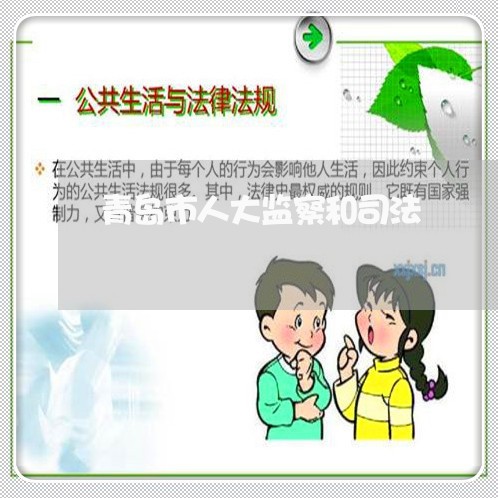 青岛市人大监察和司法