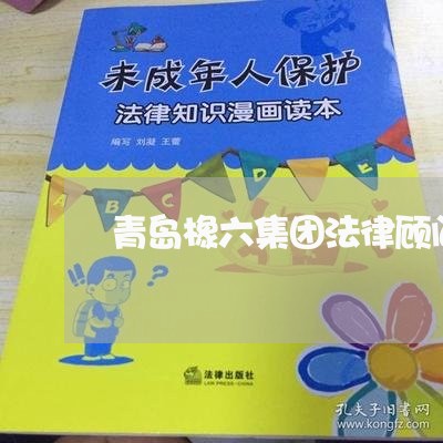 青岛橡六集团法律顾问