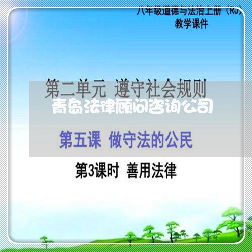 青岛法律顾问咨询公司/2023061794839