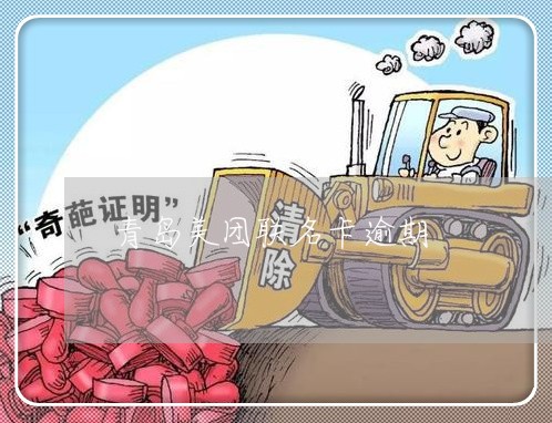青岛美团联名卡逾期 青岛美团联名卡逾期