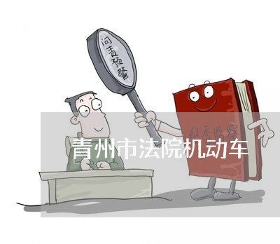 青州市法院机动车