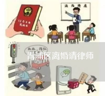 青浦区离婚请律师