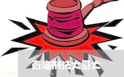 青海刑法大哥大 青海刑法大哥大