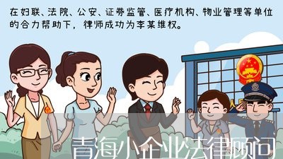 青海小企业法律顾问/2023061725936