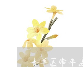青羊区常年法律顾问有多少/2023061971603