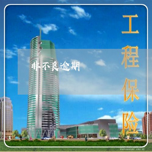 非不良逾期 非不良逾期