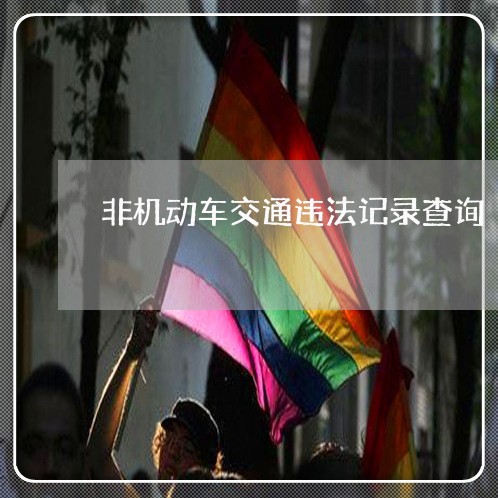 非机动车交通违法记录查询