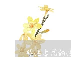 非法占用的法律关系