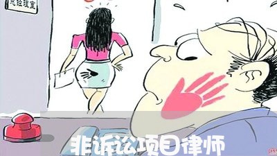 非诉讼项目律师