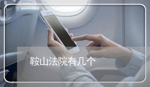 鞍山法院有几个