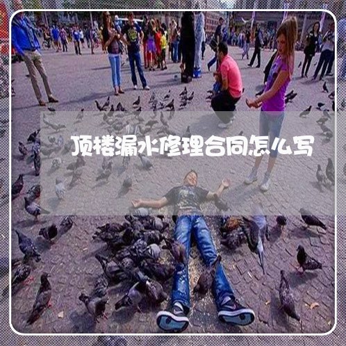 顶楼漏水修理合同怎么写/2023041395259