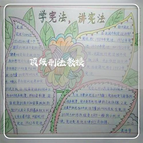 顶级刑法教授 顶级刑法教授