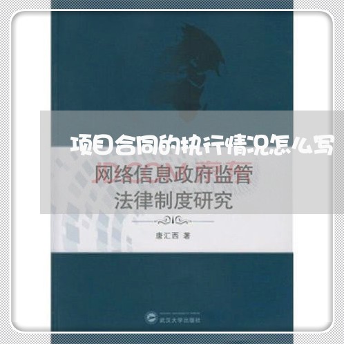 项目合同的执行情况怎么写/2023060349483