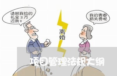 项目管理法规大纲