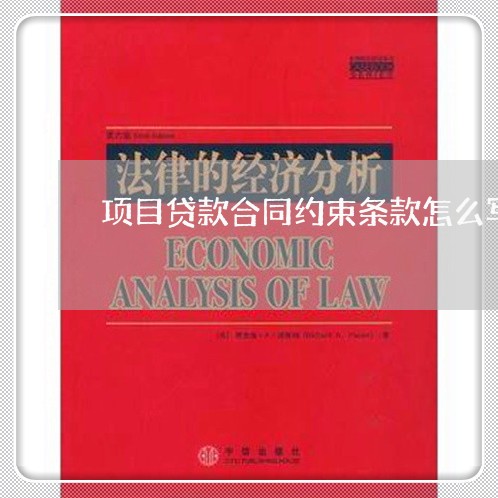 项目贷款合同约束条款怎么写/2023041373926 项目贷款合同约束条款怎么写/2023041373926