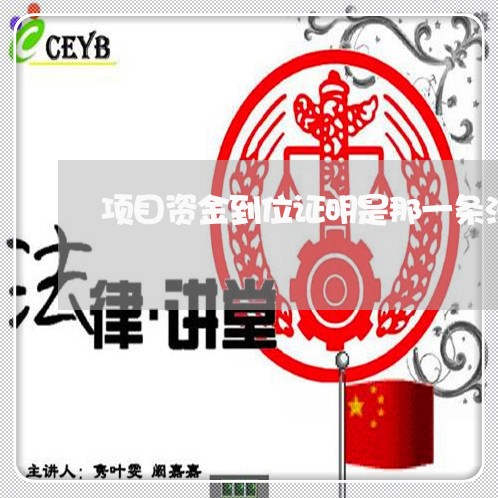 项目资金到位证明是那一条法规
