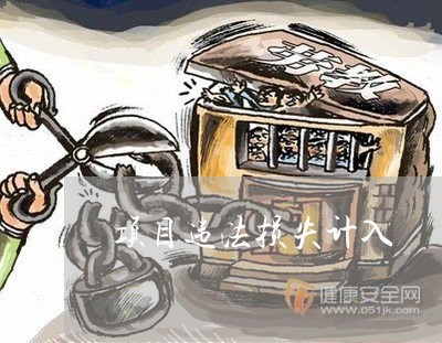 项目违法损失计入
