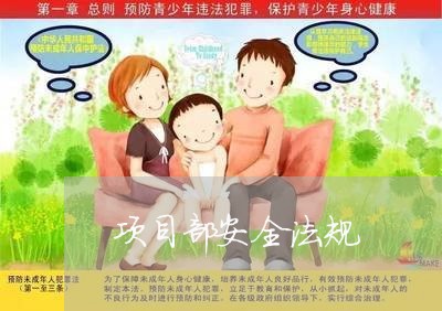 项目部安全法规 项目部安全法规