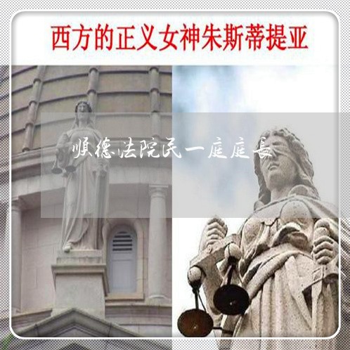 顺德法院民一庭庭长