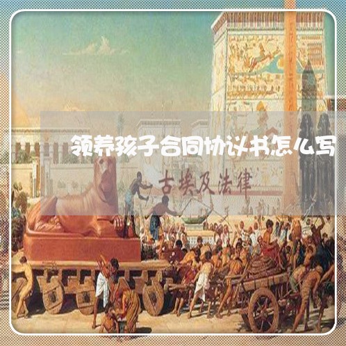 领养孩子合同协议书怎么写/2023042492617