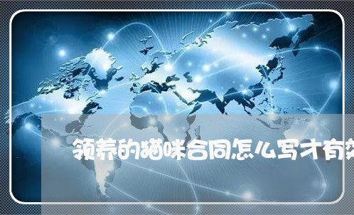领养的猫咪合同怎么写才有效/2023041616351