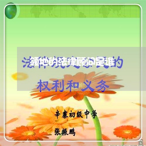 领地的法律顾问是谁/2023061822624 领地的法律顾问是谁/2023061822624