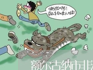 额尔古纳市非法集资诉讼律师 额尔古纳市非法集资诉讼律师