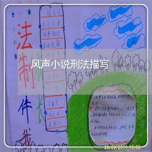 风声小说刑法描写