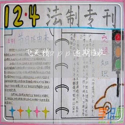 飞天猪app逾期催收