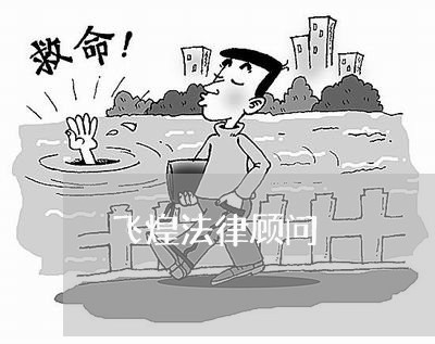 飞煌法律顾问/2023061796946