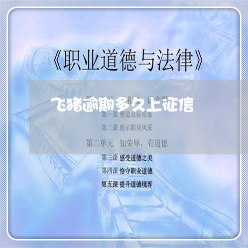 飞猪逾期多久上征信 飞猪逾期多久上征信