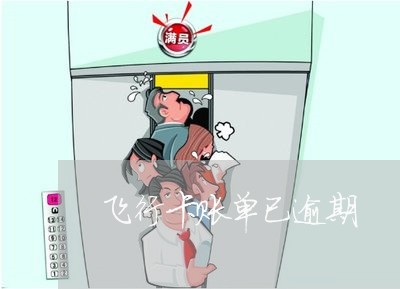 飞行卡账单已逾期