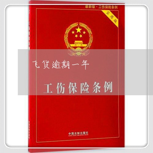 飞货逾期一年 飞货逾期一年