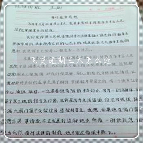飞贷逾期三天怎么还 飞贷逾期三天怎么还