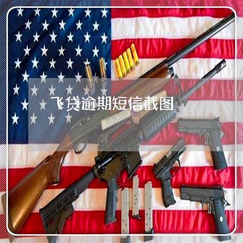 飞贷逾期短信截图 飞贷逾期短信截图