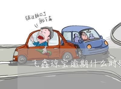 飞鑫琼宝逾期什么时候会上征信