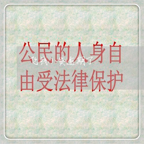 飞钱小贷逾期了