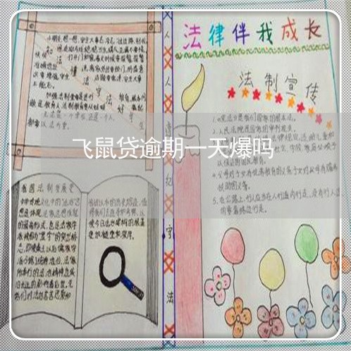 飞鼠贷逾期一天爆吗