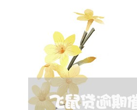 飞鼠贷逾期催款通知 飞鼠贷逾期催款通知